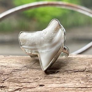 Genuine Shark Tooth Fossil Ring | sz 7.5